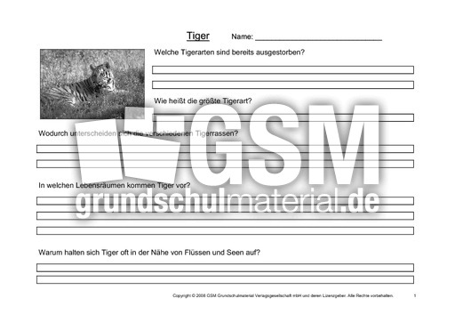 Tiger-Fragen-1.pdf